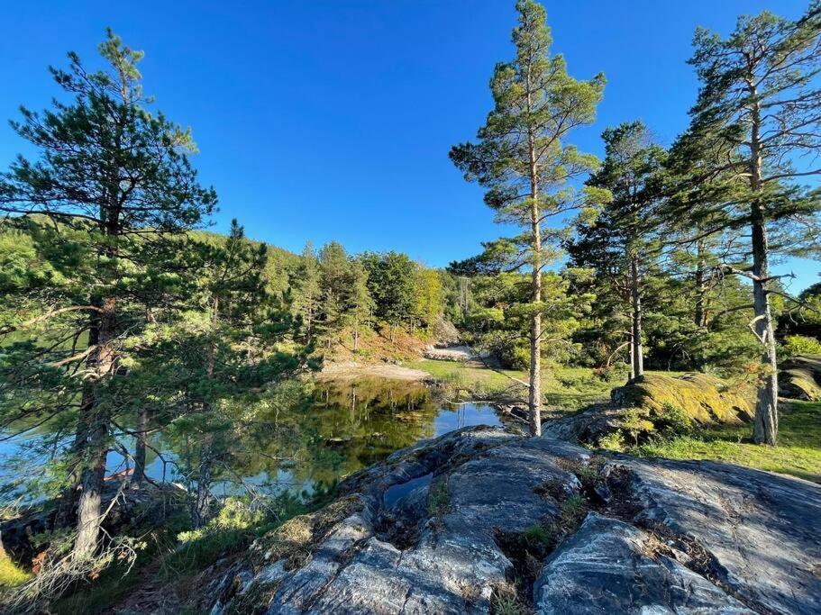 Bosvik Gard, Nyrenovert Leilighet I Hovedhus Fra 1756 Risør Екстериор снимка